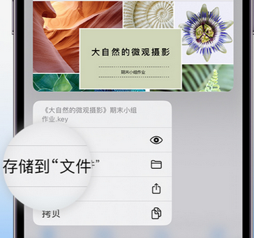 耿马apple维修中心分享iPhone文件应用中存储和找到下载文件