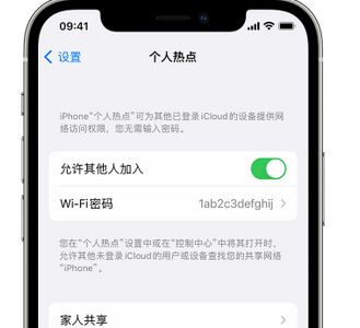 耿马apple服务站点分享iPhone上个人热点丢失了怎么办 