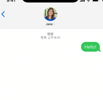 耿马apple维修iPhone上无法正常发送iMessage信息