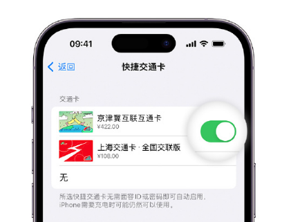 耿马apple维修点分享iPhone上更换Apple Pay快捷交通卡手绘卡面 