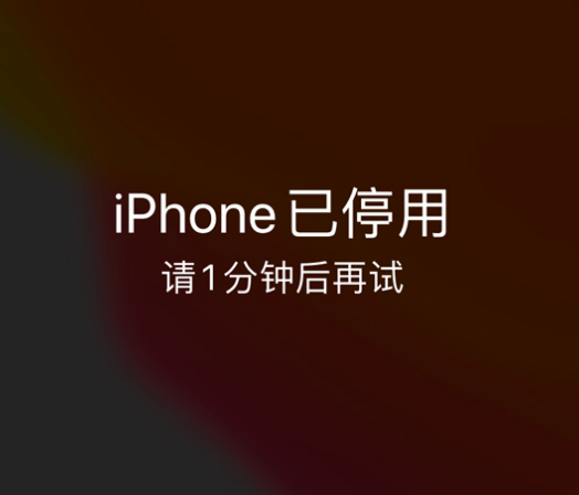 耿马苹果手机维修分享:iPhone 显示“不可用”或“已停用”怎么办？还能保留数据吗？ 