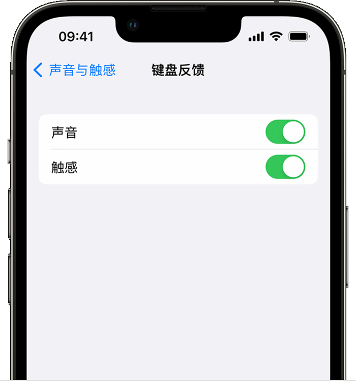 耿马苹果14维修店分享如何在 iPhone 14 机型中使用触感键盘 