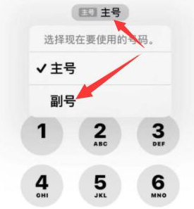 耿马苹果14维修店分享iPhone 14 Pro Max使用副卡打电话的方法 