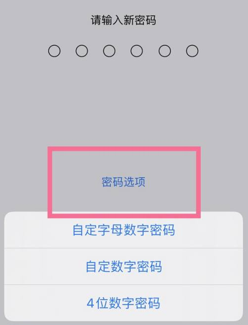 耿马苹果14维修分享iPhone 14plus设置密码的方法 