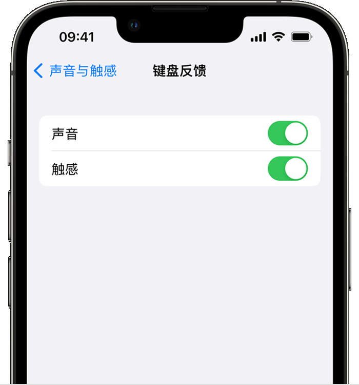 耿马苹果14维修分享iPhone 14 系列机型如何开启键盘声音或触感反馈 