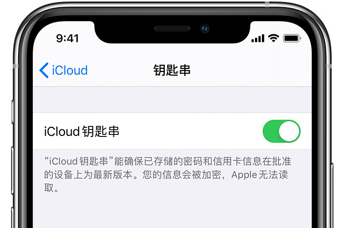 耿马苹果手机维修分享在 iPhone 上开启 iCloud 钥匙串之后会储存哪些信息 
