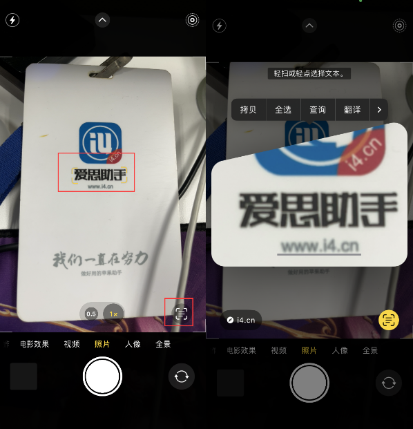 耿马苹果手机维修分享升级iOS 16后如何通过相机翻译文本 