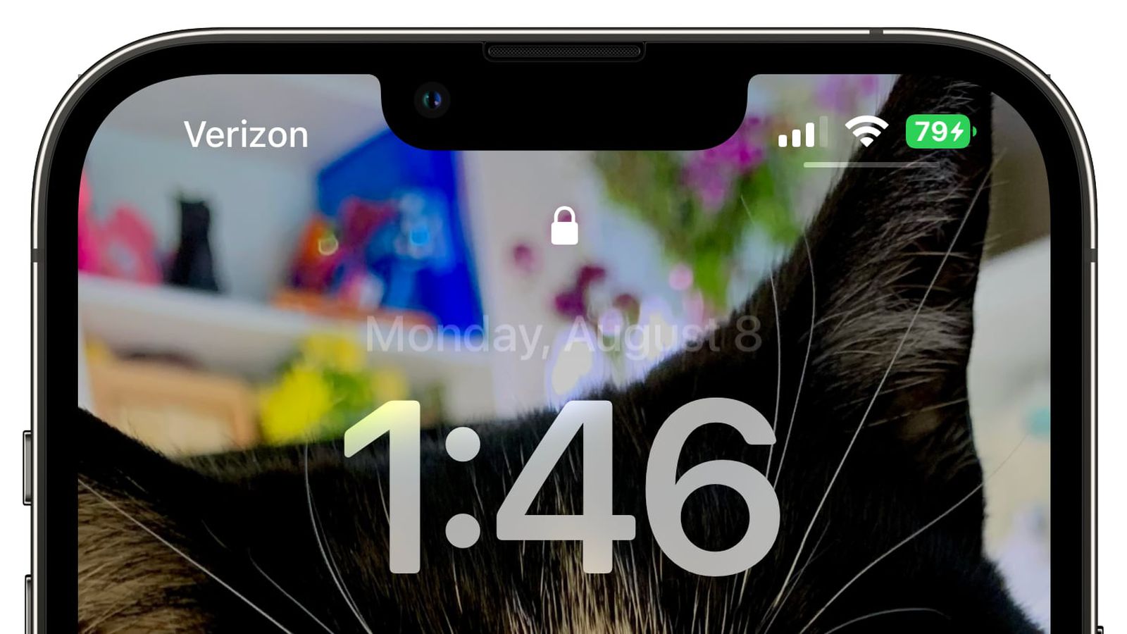 耿马苹果手机维修分享iOS 16 beta 5 支持状态栏显示电池百分比，如何开启？支持哪些机型 