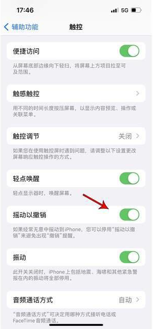 耿马苹果手机维修分享iPhone手机如何设置摇一摇删除文字 