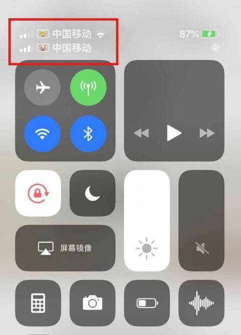耿马苹果手机维修分享为 iPhone 12 双卡设置标签 
