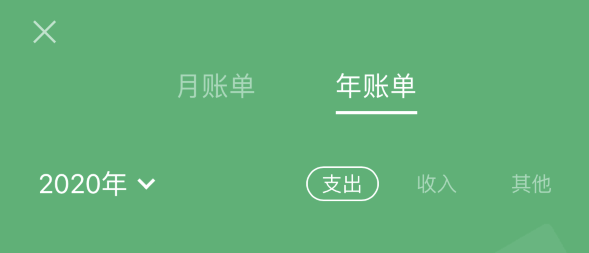 耿马苹果手机维修分享如何在 iPhone 上查看支付宝和微信年支出账单 